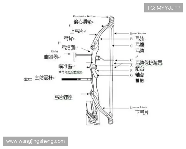 全面解析现代射箭比赛规则流程与关键技术要点实用指南详解版